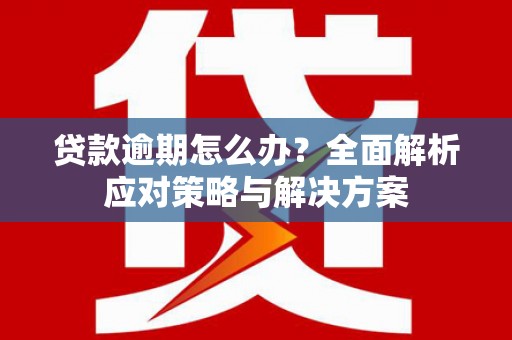 海港贷款逾期怎么办？全面解析应对策略与解决方案