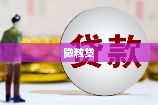 海港微粒贷