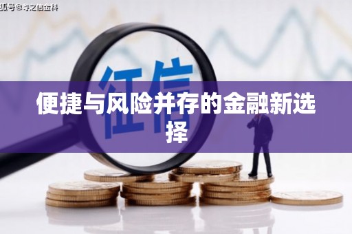 海港便捷与风险并存的金融新选择