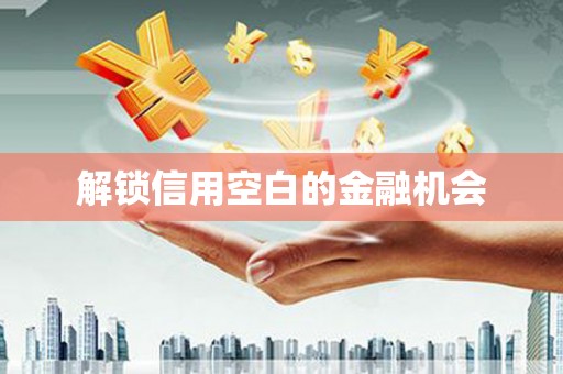 海港解锁信用空白的金融机会