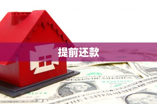 海港提前还款
