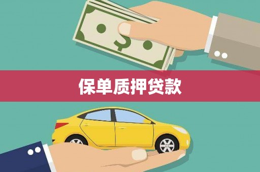 海港保单质押贷款