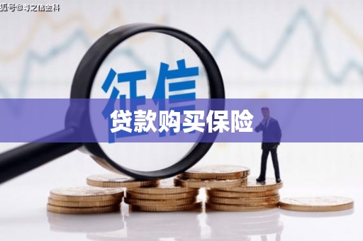 海港贷款购买保险