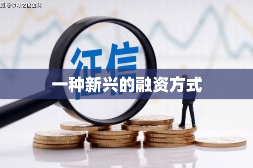 海港一种新兴的融资方式