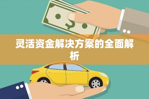 海港灵活资金解决方案的全面解析
